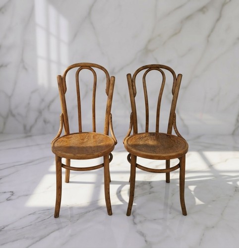 Antique bentwood dining chair - bentwood,