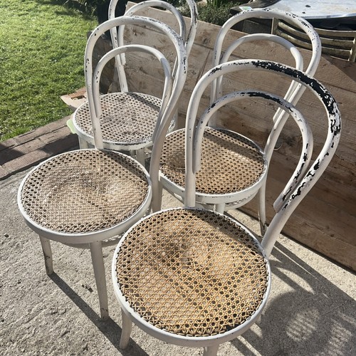 Dining chairs bentwood bistro - chairs,
